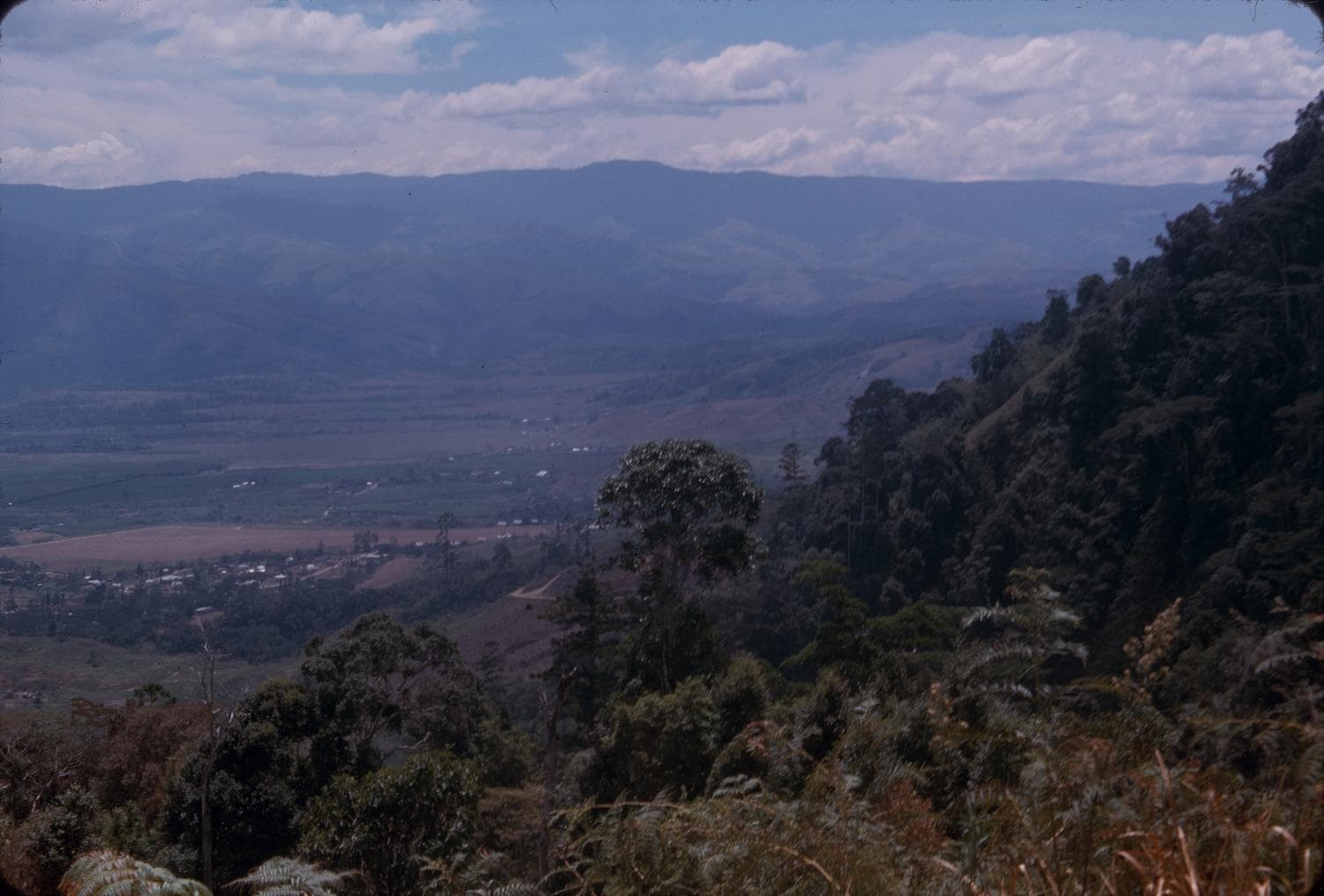 Traveler visiting Papua New Guinea